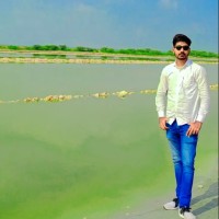 Bhanu Pratap Singh Khangarot