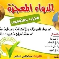 Hanane Doctorr