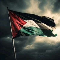 Haroon ur Rasheed 🇵🇸