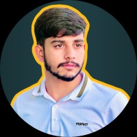 Ali Hamza