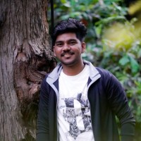 Vinay K