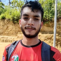 Amir Hamza