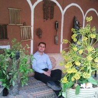 Mahdavi Manesh Salman