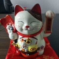 沈亚君