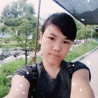 高新春