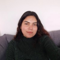 Monica Varas Arancibia