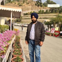 Nps Sodhi