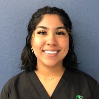 Saleen Diaz