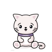 Steven Y.