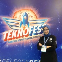 Ayşenur Akbulut