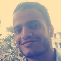 Mohamed Abd Elemam Ali