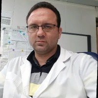 Mojtaba Ansari