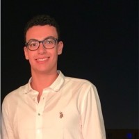 Marwan Abdelmotaal, Pmi-Sp®