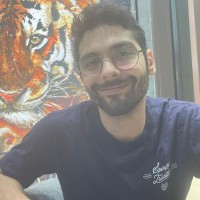 Ali Mohsen