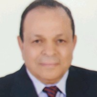 Ismail Elghetany