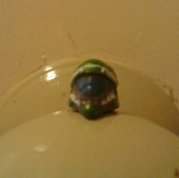 Lawa Boi