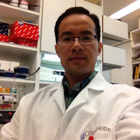Jiancheng Liu