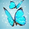 PRIYA DARSHINI. P
