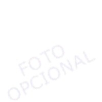 VICENT GARCIA GARCIA