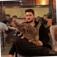 Metin Özcan