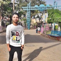Ayman Shawky