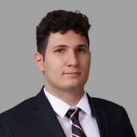 Nader A. Ayoub