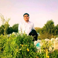 Sayed Mahdi Jafari