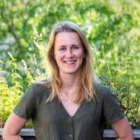 Anne Molenaar