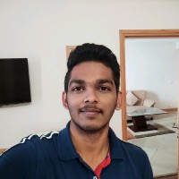 Vigneshwaran K