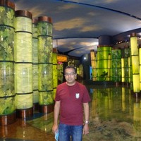 Narayanan T