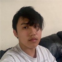 Travis Phan