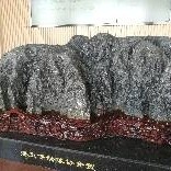 林森茂