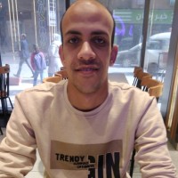 Mohamed E. Ismail