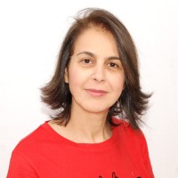 Rachida Idir Cerema Ile-De-France