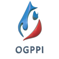 Oil and Gas Project Professional Institute