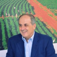Mario Bianco