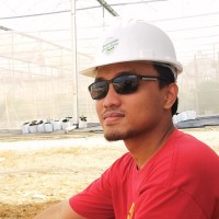 Dimas Arif Pambudi, S.T.
