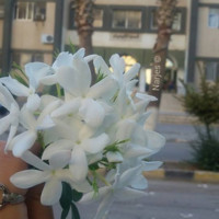 Esraa Mahmoud Abuhmmad