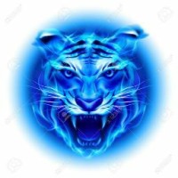 Tiger Gaming Yt