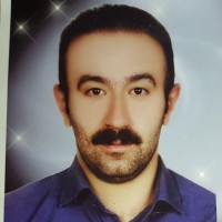 Sina Rafizadeh