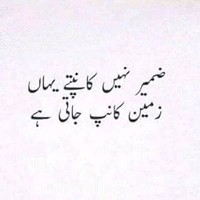 Shaan Ali