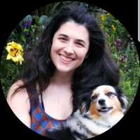 Amanda Cockell DipAVN (small animal) RVN