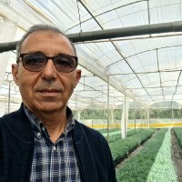 Mohamed BOUDINAR