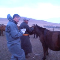 Batmagnai Enkhbaatar
