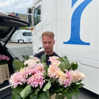 Pieter Vis