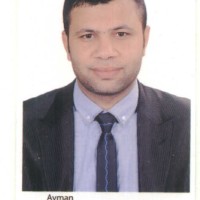 Mohamed Lotfy Kamel Abdelhamid