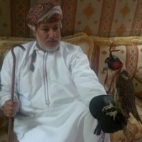 Amour AlMahrouqi