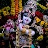 Manish Verma
