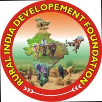 Program Lead
