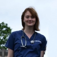 Lauren Olliges